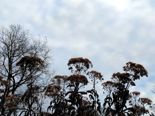 Newest Photo 5
Uploaded 6 days ago