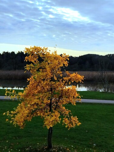 Newest Photo 4
Uploaded 6 days ago