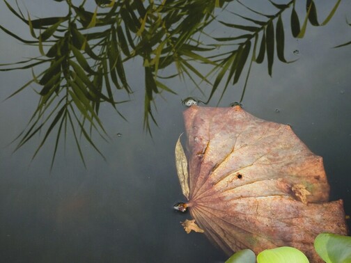 Newest Photo 2
Uploaded 3 days ago