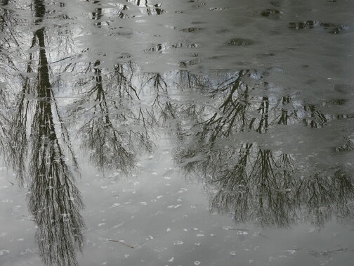 Newest Photo 5
Uploaded 1 week ago