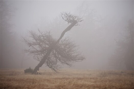 Newest Photo 4
Uploaded 5 days ago