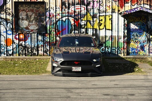 Newest Photo 4
Uploaded 1 day ago