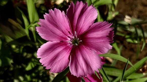 Newest Photo 2
Uploaded 1 day ago