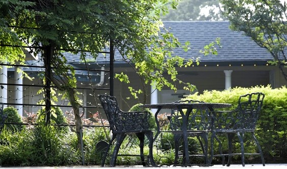 Newest Photo 1
Uploaded 1 day ago