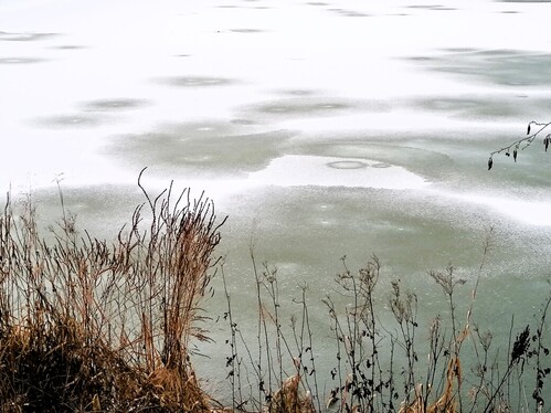 Newest Photo 5
Uploaded 2 days ago