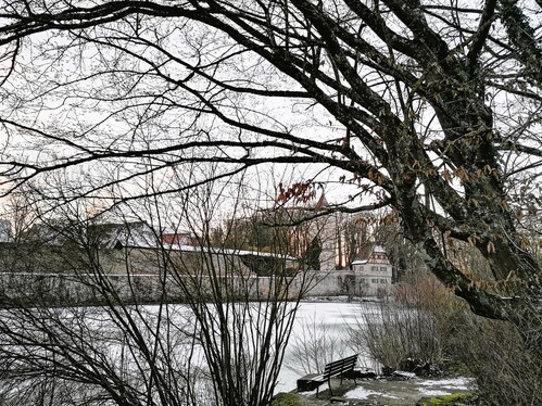 Newest Photo 3
Uploaded 2 days ago