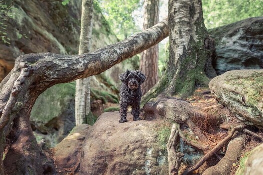 Newest Photo 1
Uploaded 2 days ago