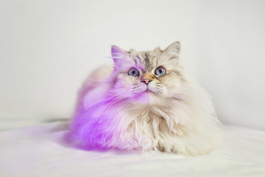 Newest Photo 2
Uploaded 22 hours ago