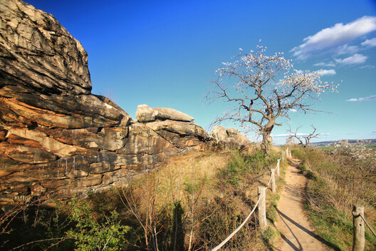 Newest Photo 3
Uploaded 4 days ago