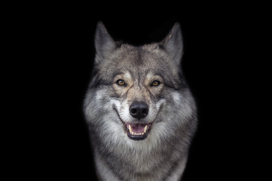 Newest Photo 2
Uploaded 4 days ago