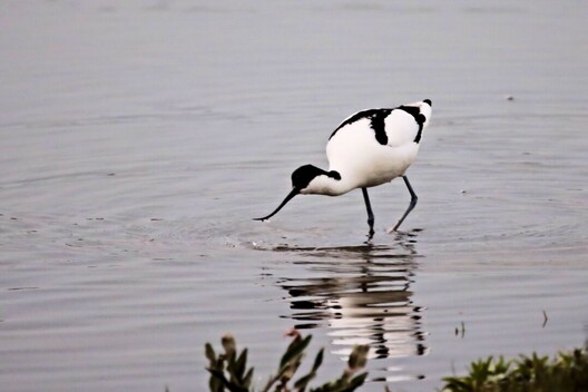 Newest Photo 1
Uploaded 10 hours ago